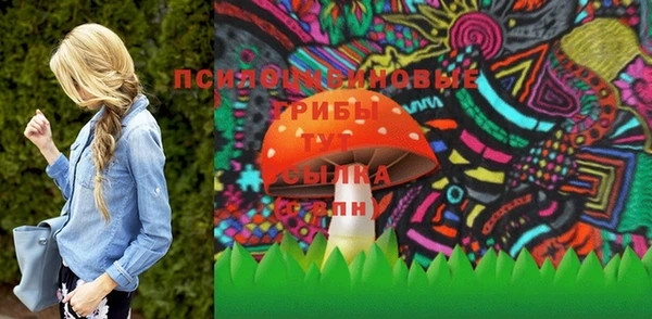 PSILOCYBIN Покров