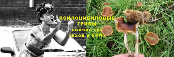 PSILOCYBIN Покров