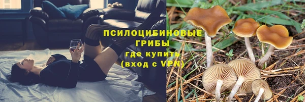 PSILOCYBIN Покров
