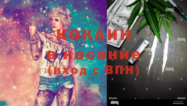 шишки Абдулино